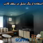 Black color in false ceiling