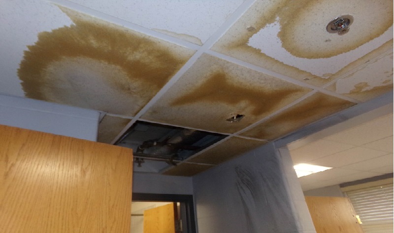 Knauf ceiling collapse