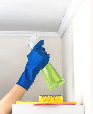 painting the false ceiling